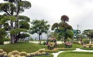 昆山綠化公司解析園林綠化工程是什么？